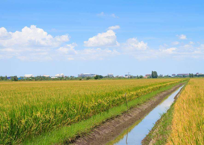 差差漫畫登錄頁(yè)面免費(fèi)漫畫在線_差差漫畫官網(wǎng)在線漫畫